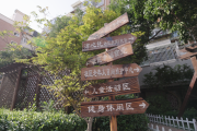 大战略牵引新开局｜温情呵护“一老一小” 绘就“全龄友好”幸福画卷