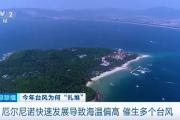 8月已生成10个台风！今年台风，为何如此活跃？